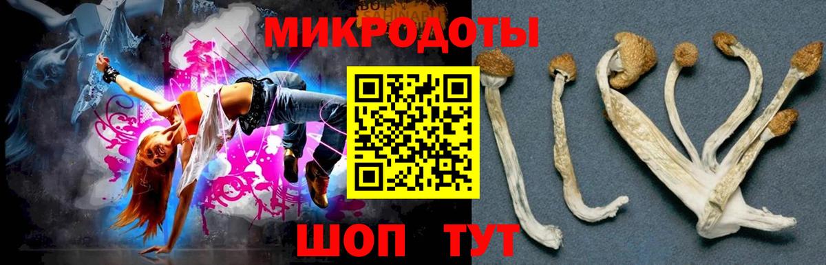 Галлюциногенные грибы прущие грибы  наркотики  Вход с VPN  Тамбов  Псилоцибиновые грибы прущие грибы 