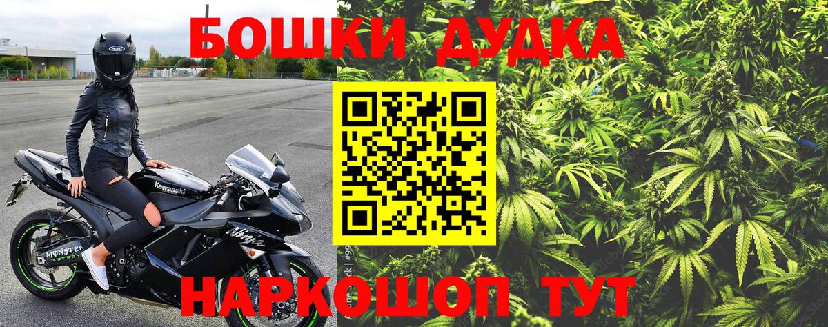 Канабис сатива Тамбов